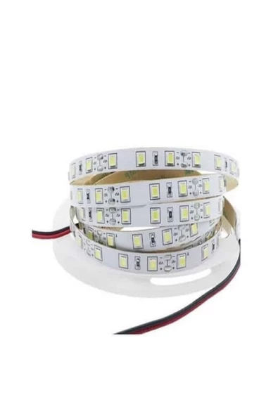 CATA ŞERİT LED 5 MT GÜNIŞIĞI İÇ MEKAN (CT-4481L) ürün görseli 1