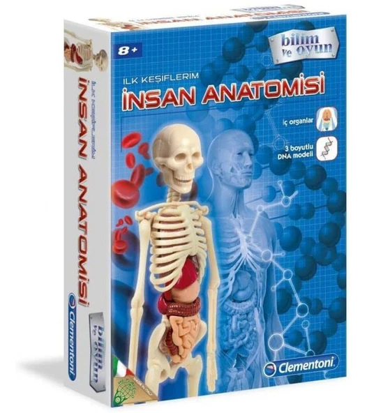 İnsan Anatomisi Bilim ve Oyun ürün görseli 1