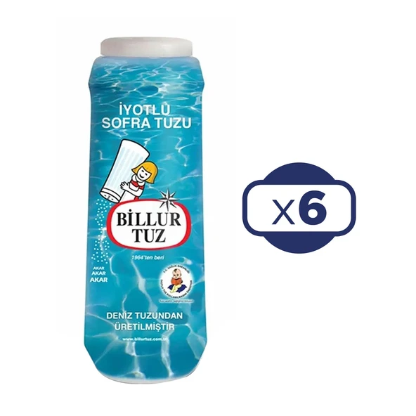 Billur Tuz Plastik Tuzluklu 500 G x 6 Adet ürün görseli 1
