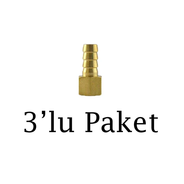 Brio Hava Hortum Dişi Rekoru 1/4 10Mm 3'lü Paket ürün görseli 1