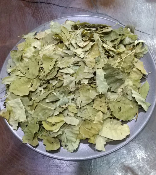 Eyüp Ensar TETRA YAPRAĞI 90 GR - Resim 2