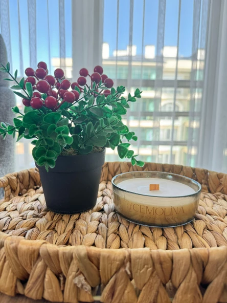 Füme Cam Kase Ahşap Fitilli Kokulu Soya Wax Mum ürün görseli 1