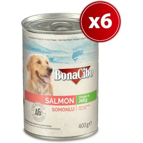 Bonacibo Jöleli Somonlu Yaş Yetişkin Köpek Konserve Maması 400 gr x 6 Adet ürün görseli 1