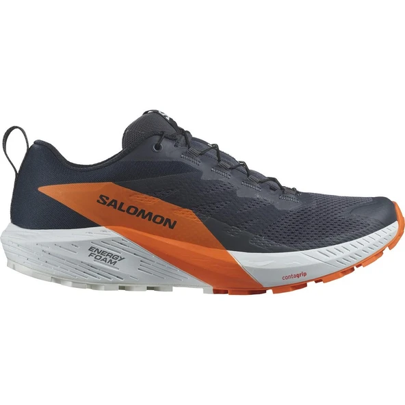 Salomon L47459400 Ride 5 Gtx Erkek Koşu Ayakkabısı ürün görseli 1