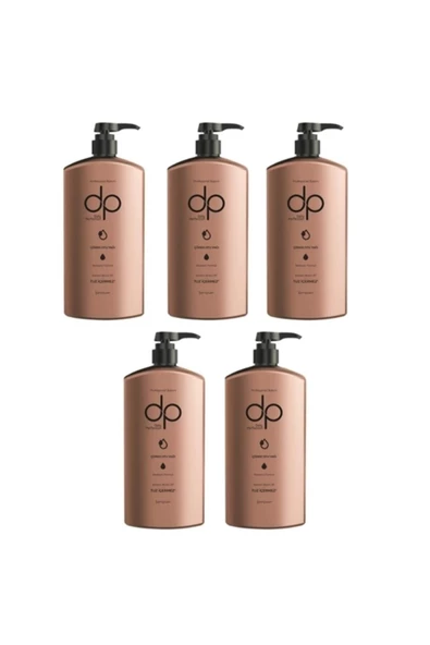 DP DAİLY PERFECTİON,Çörekotu Yağı Tuzsuz Şampuan 5 Adet 800 ml ürün görseli 1