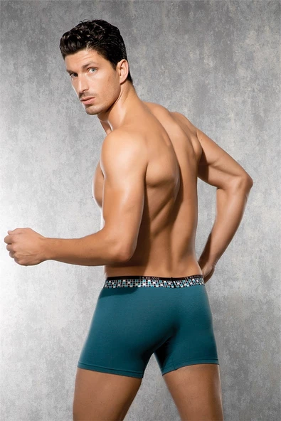 Doreanse 1710 Erkek Boxer - Resim 2