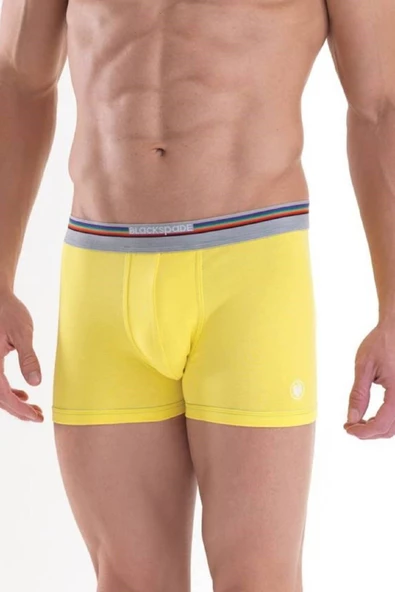Blackspade 9550 Colours %95 Pamuklu Erkek Renkli Boxer ürün görseli 1