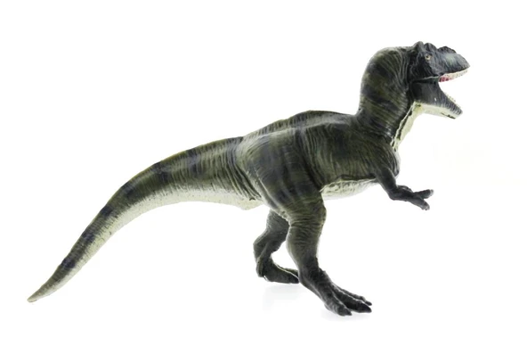 Sert Plastik Dinozor Figür - T-Rex - Resim 3