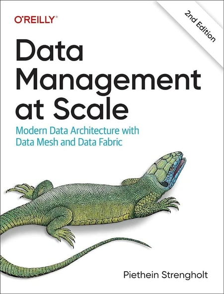 Data Management at Scale: Modern Data Architecture with Data Mesh and Data Fabric 2nd edition Piethein Strengholt ürün görseli 1