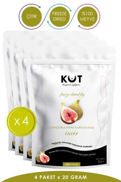 DONDURULARAK KURUTULMUŞ İNCİR - 20 GRAM X 4 PAKET FREEZE DRIED DİLİM İNCİR ürün görseli 1