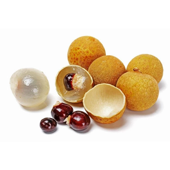 LONGAN FİDANI 5 YAŞ 120 CM ürün görseli 1
