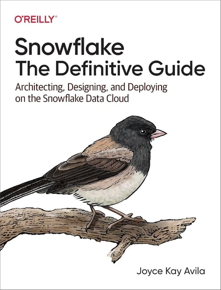 Snowflake: The Definitive Guide: Architecting, Designing, and Deploying on the Snowflake Data Cloud Joyce Kay Avilaac ürün görseli 1