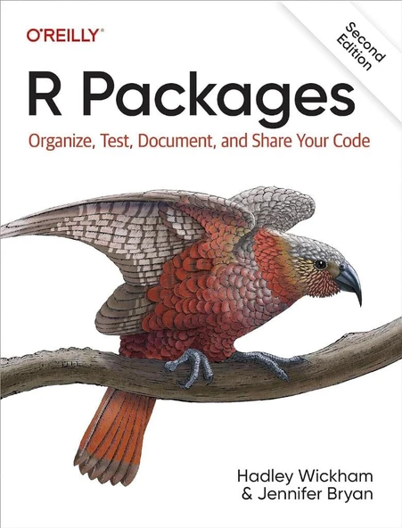 R Packages: Organize, Test, Document, and Share Your Code 2nd Edition Wickham Bryan ürün görseli 1