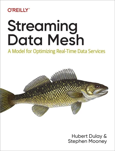 Streaming Data Mesh: A Model for Optimizing Real-Time Data Services Dulay Mooney ürün görseli 1