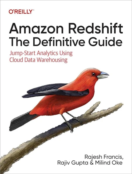 Amazon Redshift: The Definitive Guide: Jump-Start Analytics Using Cloud Data Warehousing Francis Gupta ürün görseli 1