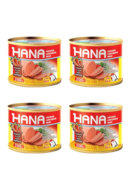 Hana Acılı Salam Konservesi 200 Gr X4 Adet ürün görseli 1