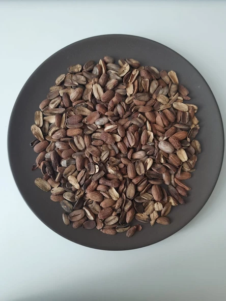 Eyüp Ensar MEŞE PALAMUDU İÇ KISMI 50 GR ürün görseli 1