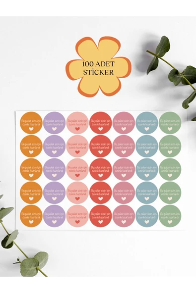 100 Adet Teşekkür Ederiz Stickers Paketleme Kargo Çıkartma PYT0KSTK150 ürün görseli 1