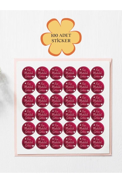 100 Adet Teşekkür Ederiz Stickers Paketleme Kargo Çıkartma PYT0KSTK152 ürün görseli 1