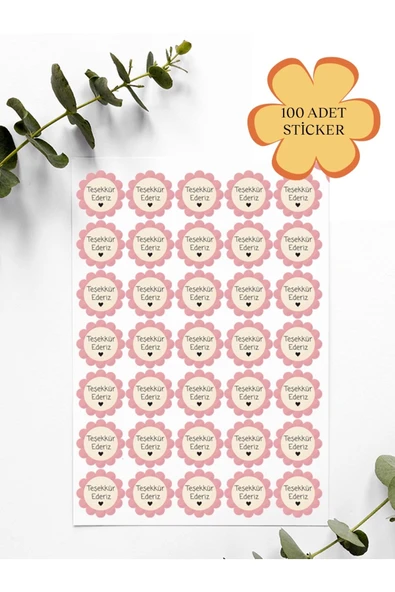 100 Adet Teşekkür Ederiz Stickers Paketleme Kargo Çıkartma PYT0KSTK147 ürün görseli 1