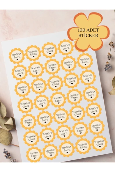 100 Adet Teşekkür Ederiz Stickers Paketleme Kargo Çıkartma PYT0KSTK144 ürün görseli 1