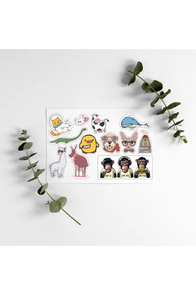 Kedi Hayvanlı Yazılı Tasarımlı A5 12 Adet Stickers Çıkartma Pytkstkr36 ürün görseli 1