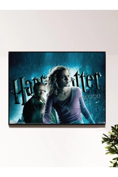 HP Tasarımlı 24*33 cm 350 gr. Kuşe Kağıt Poster PYTKPSTR045 ürün görseli 1