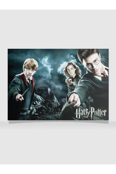 HP Tasarımlı 24*33 cm 350 gr. Kuşe Kağıt Poster PYTKPSTR044 ürün görseli 1