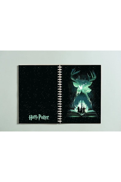 HP Defter Spiralli A5 96 Yaprak Çizgisiz Defter PYTKDFTR330 ürün görseli 1