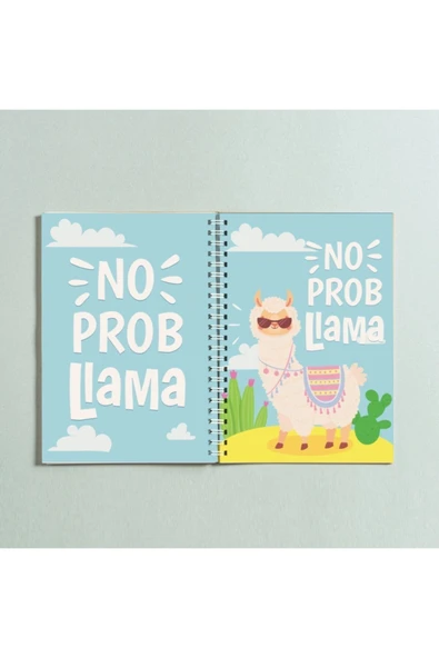 No Problama Lama Tasarım Spiralli A5 96 Yaprak Çizgisiz Defter Pytkdt0241 ürün görseli 1