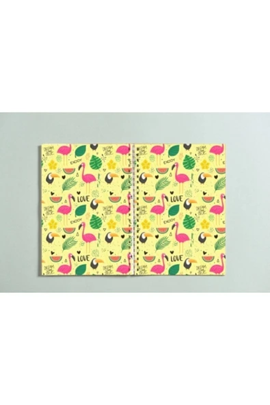 Flamingo Karga Love Enjoy Yaprak Karpuz Spiralli A5 96 Yaprak Çizgisiz Tasarım Defter Pytkdt087 ürün görseli 1