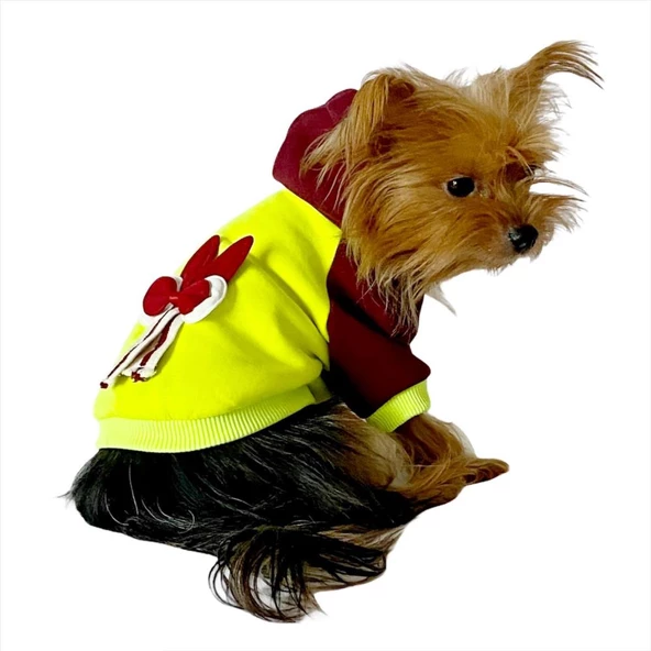 Bunny Bordo Fosfor Kapşonlu Sweat by Kemique Köpek Kazağı ürün görseli 1