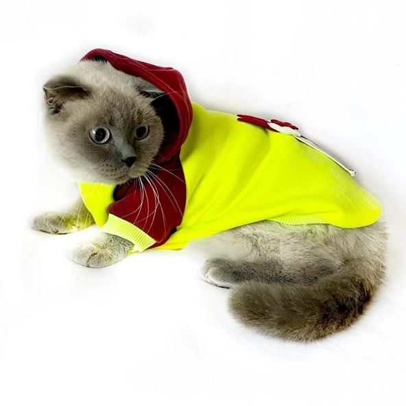Bunny Bordo Fosfor Kapsonlu Sweatshirt Kedi Süeteri Kedi Kıyafeti ürün görseli 1