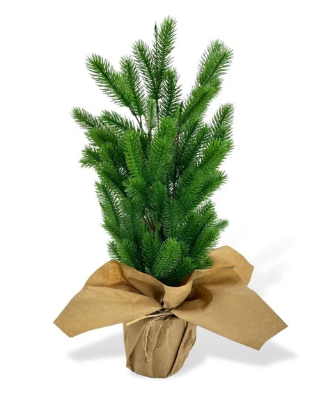 Nettenevime Yılbaşı Ağacı Yapay Çam Ağacı Kraft Saksıda 55cm ürün görseli 1