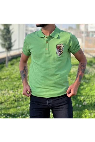 POLO YAKA T-SHİRT ürün görseli 1