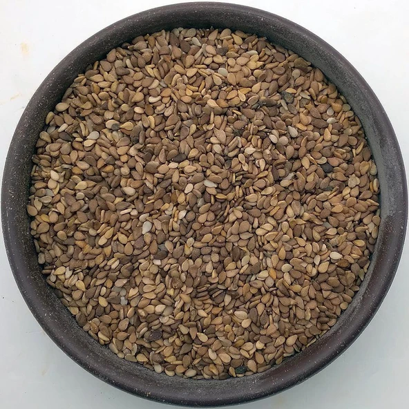 Çiğ Kabuklu Küncü 1kg - Resim 2