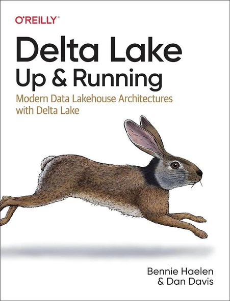 Delta Lake: Up and Running: Modern Data Lakehouse Architectures with Delta Lake Haelen Davis ürün görseli 1