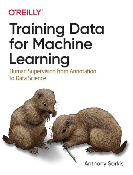 Training Data for Machine Learning: Human Supervision from Annotation to Data Science Anthony Sarkis ürün görseli 1