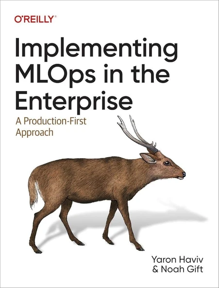 Implementing MLOps in the Enterprise: A Production-First Approach Haviv Gift ürün görseli 1