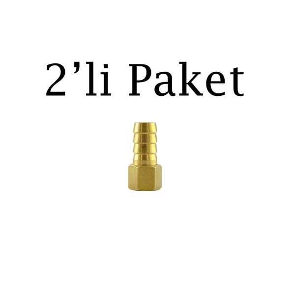 Brio Hava Hortum Dişi Rekoru 1/4 12Mm 2 adet ürün görseli 1