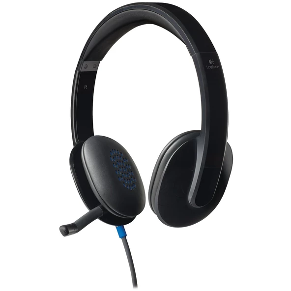 LOGITECH H540 USB SIYAH KULAKLIK 981-000480 ürün görseli 1