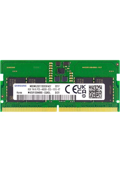 Samsung 8 GB 1Rx16 PC5-4800B-SC0 M425R1GB4BB0 ürün görseli 1