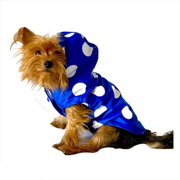 Mega Dots Blue Yağmurluk Kapşonlu  Köpek Yağmurluğu ürün görseli 1