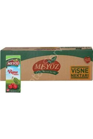 Meyöz meyve suyu Vişne 200ml 27 Adet ürün görseli 1