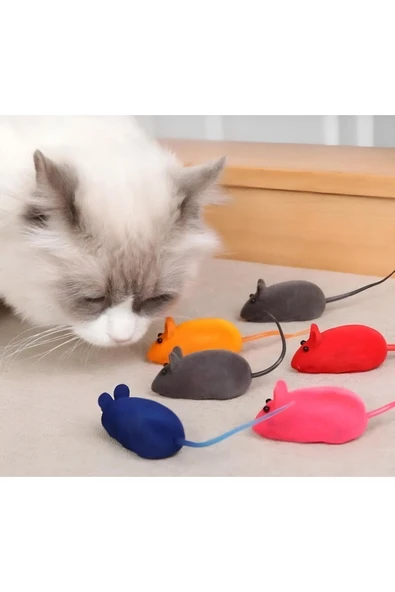 vet advice Kedi Fare Oyuncağı Tüylü Gerçeklik hissi Öten Fare oyuncağı kedi için canlılık hissi 1 adet ürün görseli 1