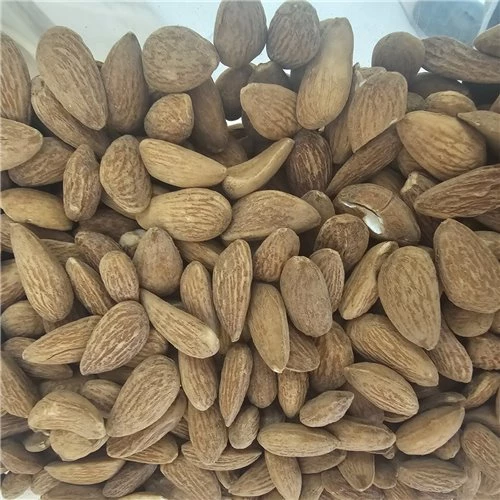 Kavrulmuş Badem 500Gr ürün görseli 1