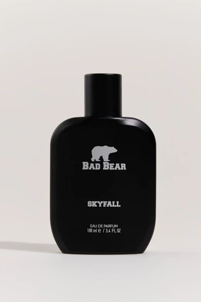 BAD BEAR ERKEK SKYFALL 20.02.66.009 ürün görseli 1