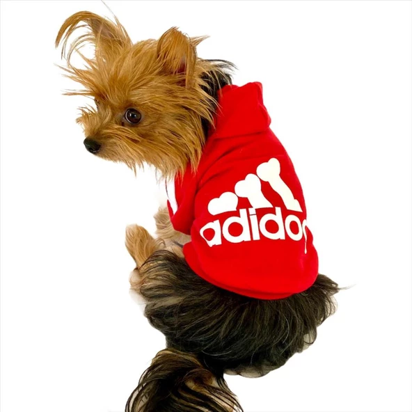 Kırmızı Adidog Kapşonlu Köpek Sweatshirt Köpek Kazağı ürün görseli 1
