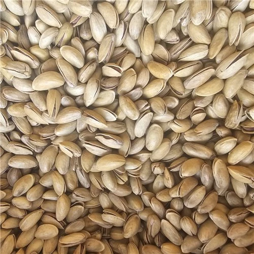 Antep Fıstığı 250Gr ürün görseli 1