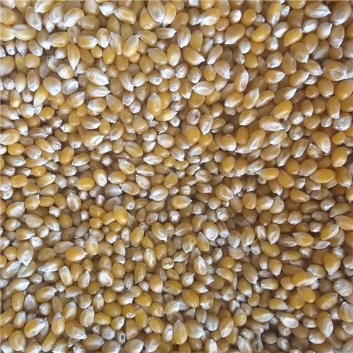 Patlamış Mısır 500Gr ürün görseli 1